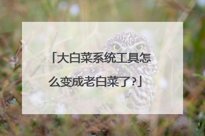 ��ײ�ϵͳ������ô����ϰײ���?