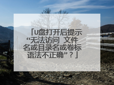 U盘打开后提示“无法访问 文件名或目录名或卷标语法不正确”?