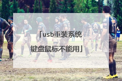 usb��װϵͳ������겻����