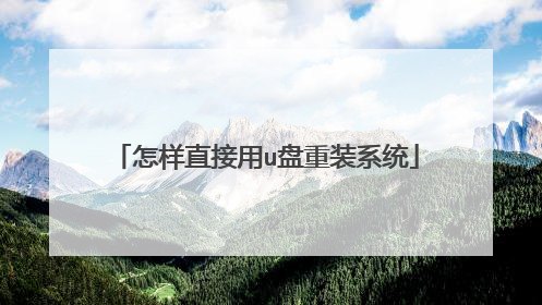 ����ֱ����u����װϵͳ