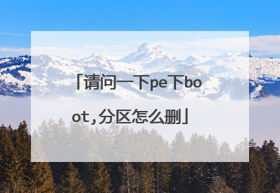 ����һ��pe��boot,������ôɾ