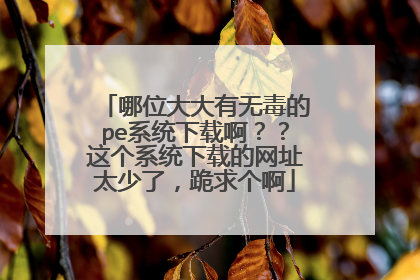 ��λ������޶���peϵͳ���ذ��������ϵͳ���ص���ַ̫���ˣ��������