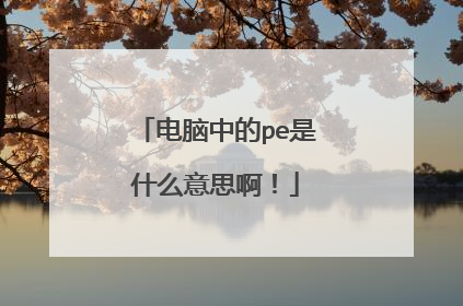 �����е�pe��ʲô��˼����