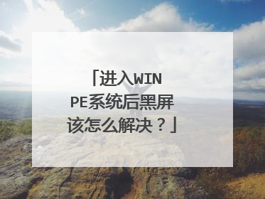 ����WIN PEϵͳ���������ô�����