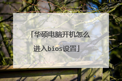 ��˶���Կ�����ô����bios����