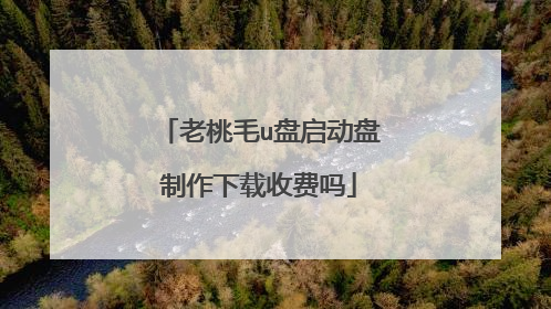 老桃毛u盘启动盘制作下载收费吗