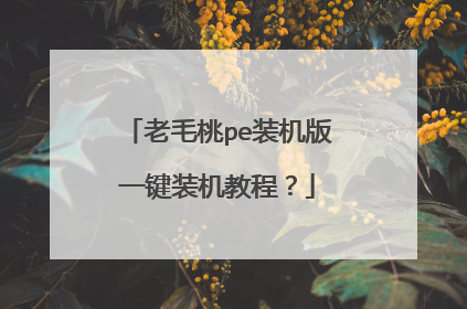 老毛桃pe装机版一键装机教程?