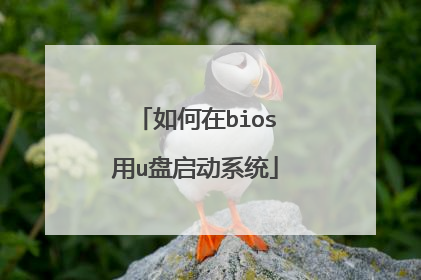 �����bios��u������ϵͳ