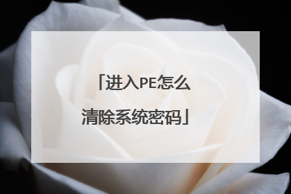 ����PE��ô���ϵͳ����