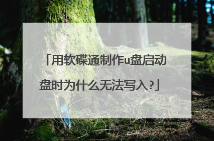 ������ͨ����u��������ʱΪʲô�޷�д��?