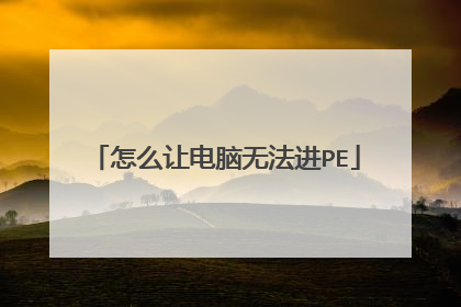 ��ô�õ����޷���PE