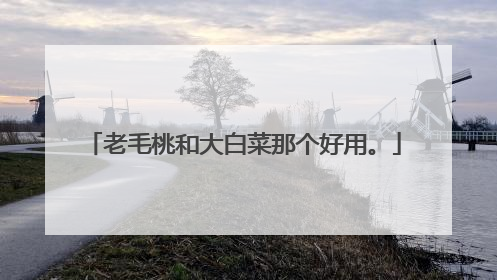 ��ë�Һʹ�ײ��Ǹ����á�