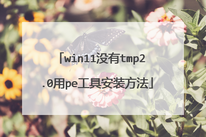 win11û��tmp2.0��pe���߰�װ����