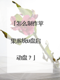 ��ô����ƻ��ϵͳU�������̣�