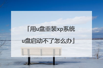 用u盘重装xp系统u盘启动不了怎么办
