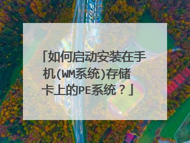 ���������װ���ֻ�(WMϵͳ)�洢���ϵ�PEϵͳ��