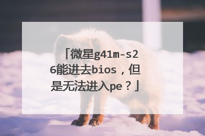 ΢��g41m-s26�ܽ�ȥbios�������޷�����pe��