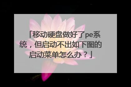 �ƶ�Ӳ��������peϵͳ����������������ͼ�������˵���ô�죿