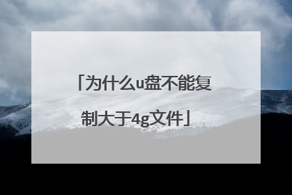 Ϊʲôu�̲��ܸ��ƴ���4g�ļ�