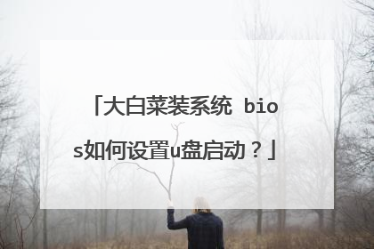 ��ײ�װϵͳ bios�������u��������