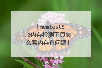 memtest5.0�ڴ��⹤����ô���ڴ�������