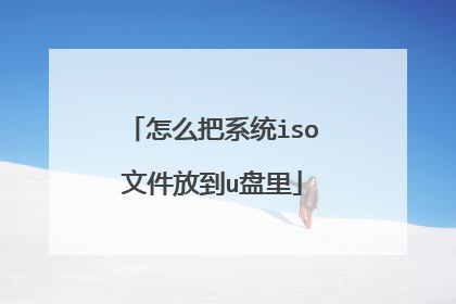 ��ô��ϵͳiso�ļ��ŵ�u����