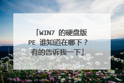 WIN7 ��Ӳ�̰�PE ˭֪�������£��еĸ�����һ��