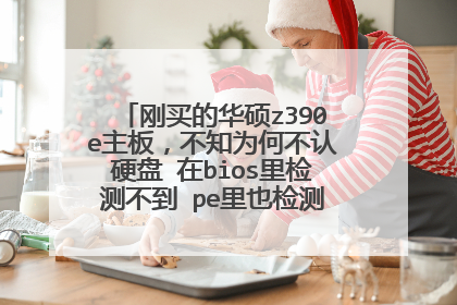 ����Ļ�˶z390e���壬��֪Ϊ�β���Ӳ�� ��bios���ⲻ�� pe��Ҳ��ⲻ�� ��ʲôԭ��