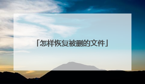 �����ָ���ɾ���ļ�