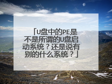 U���е�PE�ǲ�����ν��U������ϵͳ������˵�б��ʲôϵͳ��