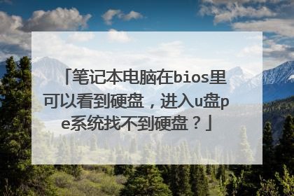 �ʼǱ�������bios����Կ���Ӳ�̣�����u��peϵͳ�Ҳ���Ӳ�̣�