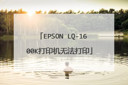 EPSON LQ-1600K��ӡ���޷���ӡ