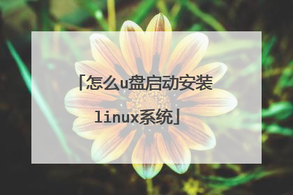 ��ôu��������װlinuxϵͳ