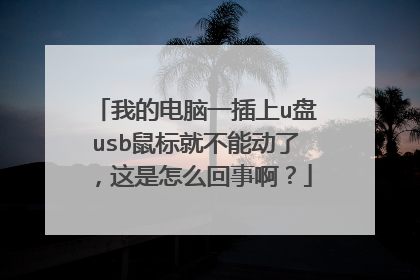 �ҵĵ���һ����u��usb���Ͳ��ܶ��ˣ�������ô���°���