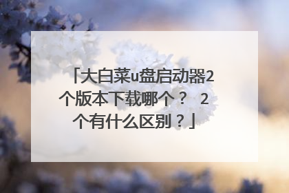 ��ײ�u��������2���汾�����ĸ��� 2����ʲô����