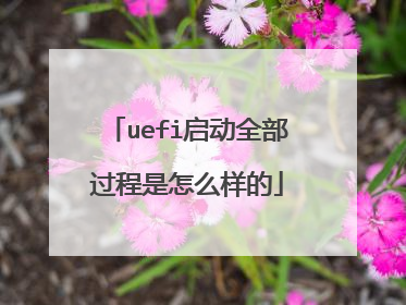 uefi����ȫ����������ô����