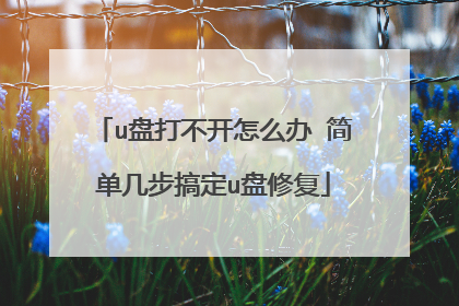 u�̴򲻿���ô�� �򵥼����㶨u���޸�