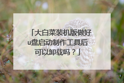 大白菜装机版做好u盘启动制作工具后可以卸载吗?