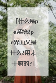 ʲô��peϵͳ?pe��������ʲô?���������?