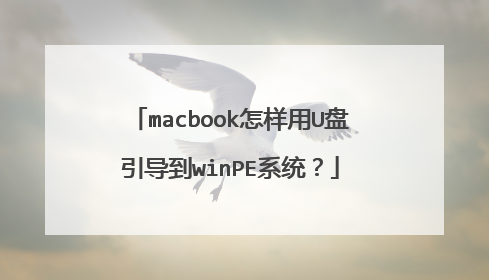 macbook������U��������winPEϵͳ��