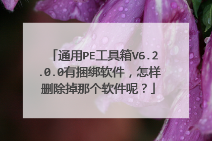 ͨ��PE������V6.2.0.0����������������ɾ�����Ǹ������أ�