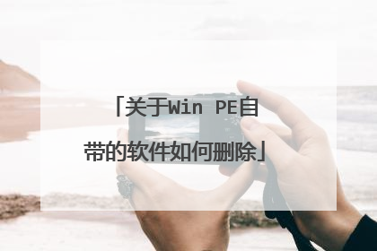 ����Win PE�Դ����������ɾ��