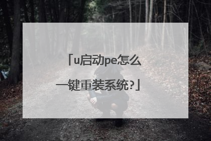 u����pe��ôһ����װϵͳ?