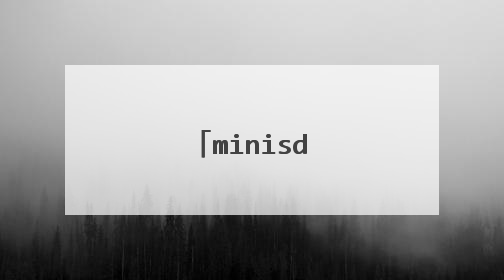 minisd����ô����