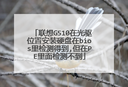 ����G510�ڹ���λ�ð�װӲ����bios����õ�,����PE�����ⲻ��