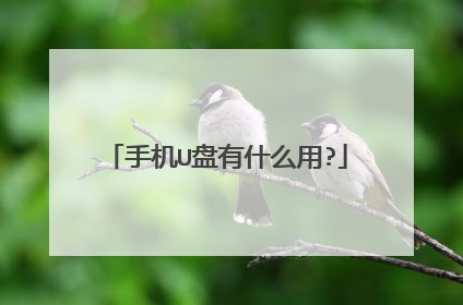 �ֻ�U����ʲô��?