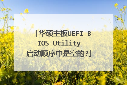 ��˶����UEFI BIOS Utility����˳�����ǿյ�?