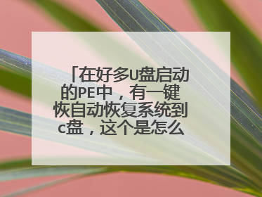 在好多U盘启动的PE中,有一键恢自动恢复系统到c盘,这个是怎么实现的,或者谁会编译此类软件