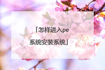 ��������peϵͳ��װϵͳ