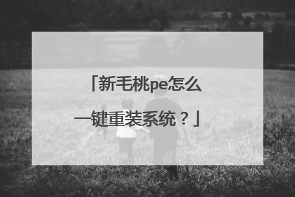 ��ë��pe��ôһ����װϵͳ��